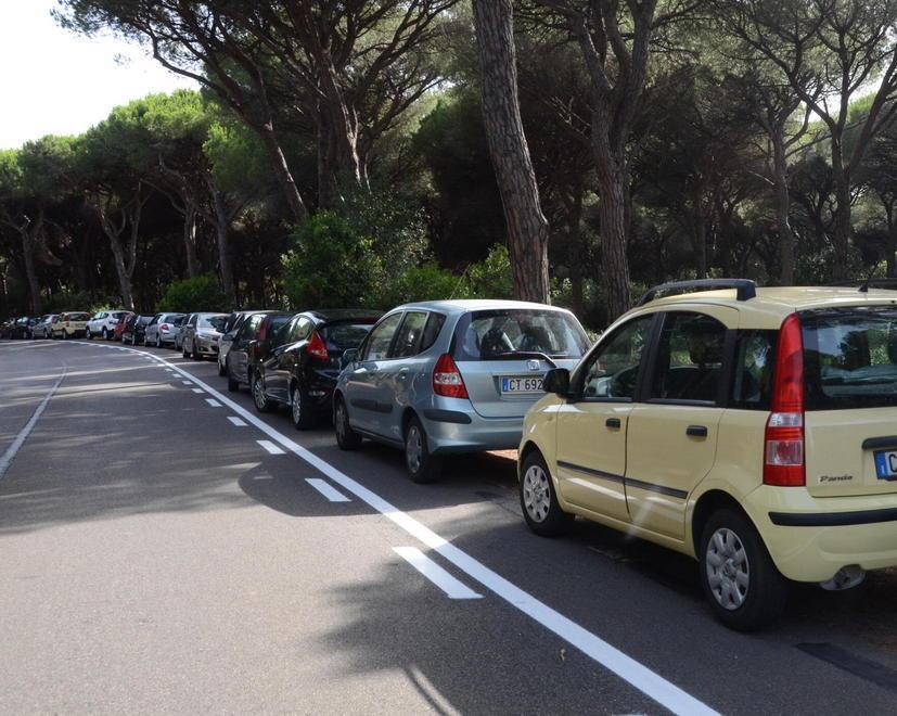 Caos parcheggi a Marina, spunta l’ipotesi di rimettere le auto in pineta 