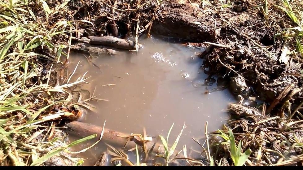 Vapore da una pozza d’acqua in un campo a Reno Centese
