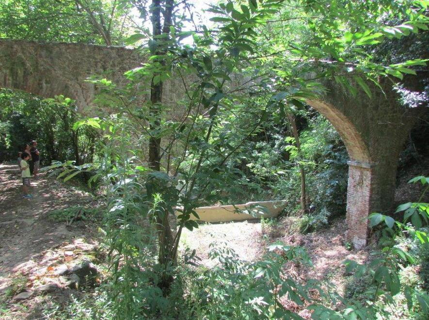 Giovani Indiana Jones riscoprono un acquedotto