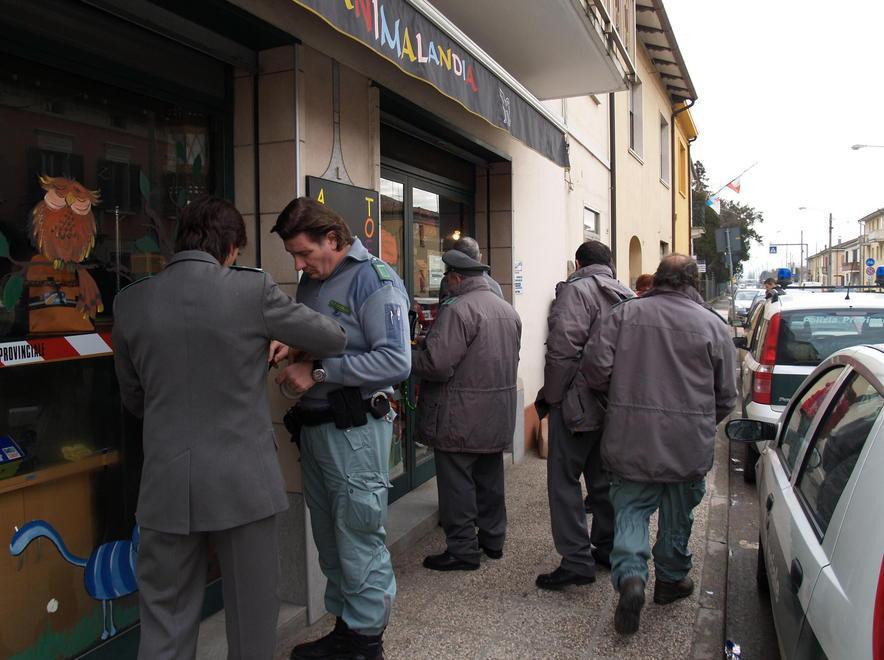 Traffico di cuccioli, condanna confermata 