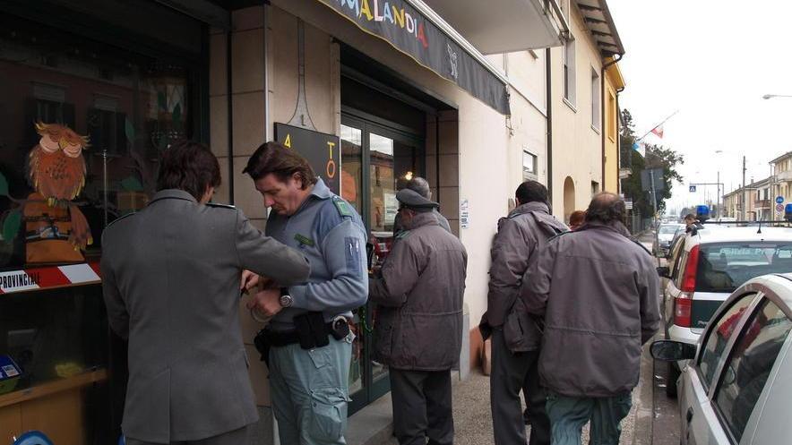 Traffico di cuccioli, condanna confermata