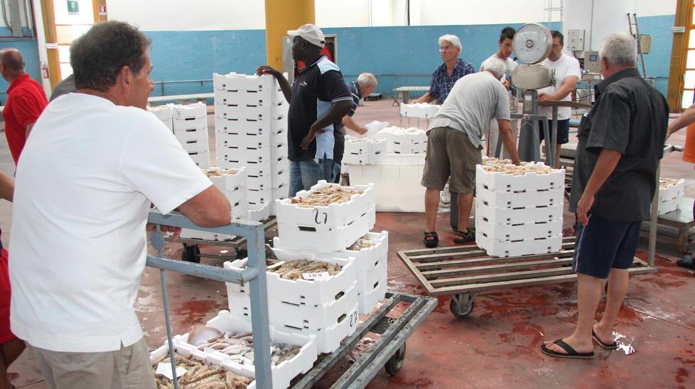 Al mercato ittico di nuovo rotta la macchina del ghiaccio