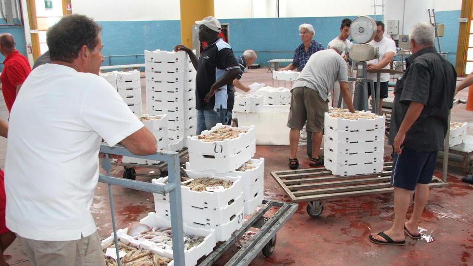 Al mercato ittico di nuovo rotta la macchina del ghiaccio