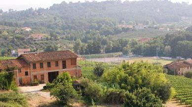 Tenuta del Buonamico 50 anni di eccellenza