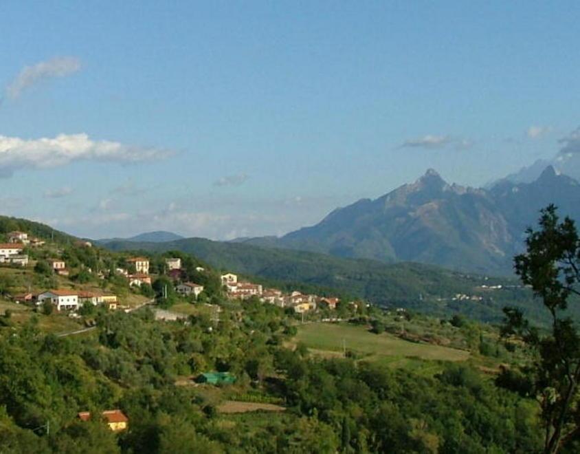 Valle del Bardine: razzia di frutta e verdura in un orto
