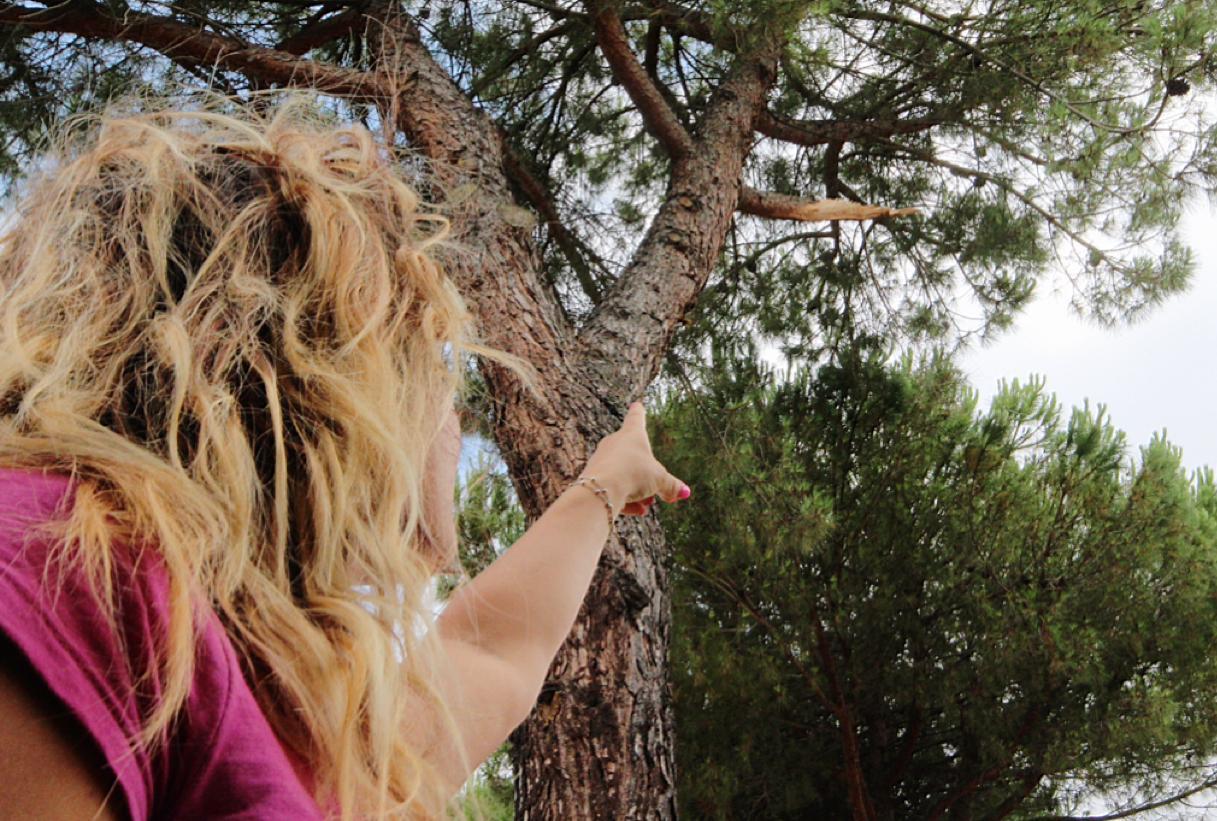 Grosso ramo colpisce due donne nel parco 
