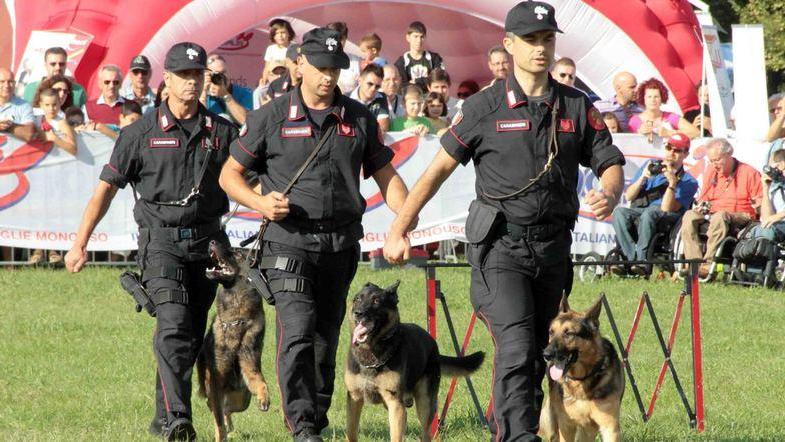 Le squadre cinofile dei carabinieri danno spettacolo