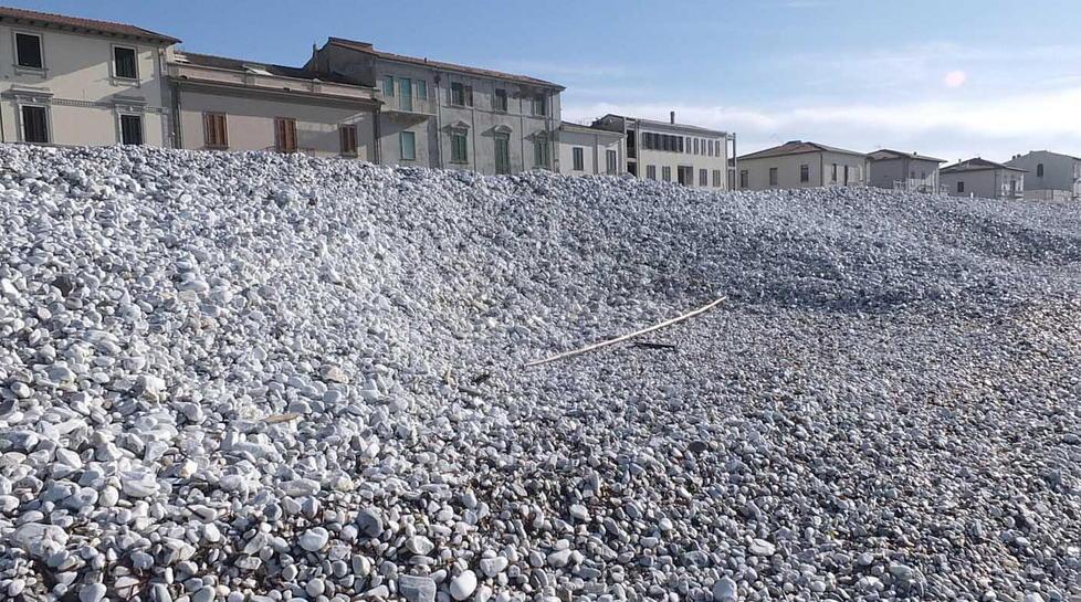 Via al dragaggio della sabbia poi una pista fino agli scogli 