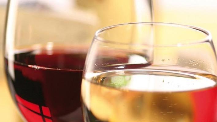 Cresce l’enologia modenese Cinque vini al top