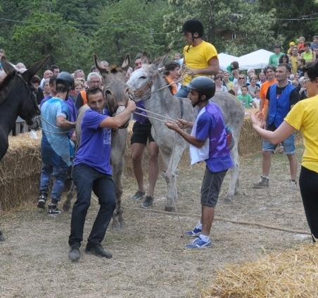 Palio degli asini, sfida fra contrade 