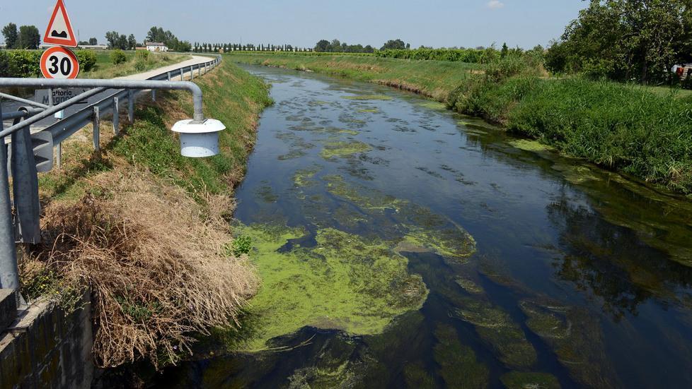 «Naviglio intasato da alghe si rischiano allagamenti» 