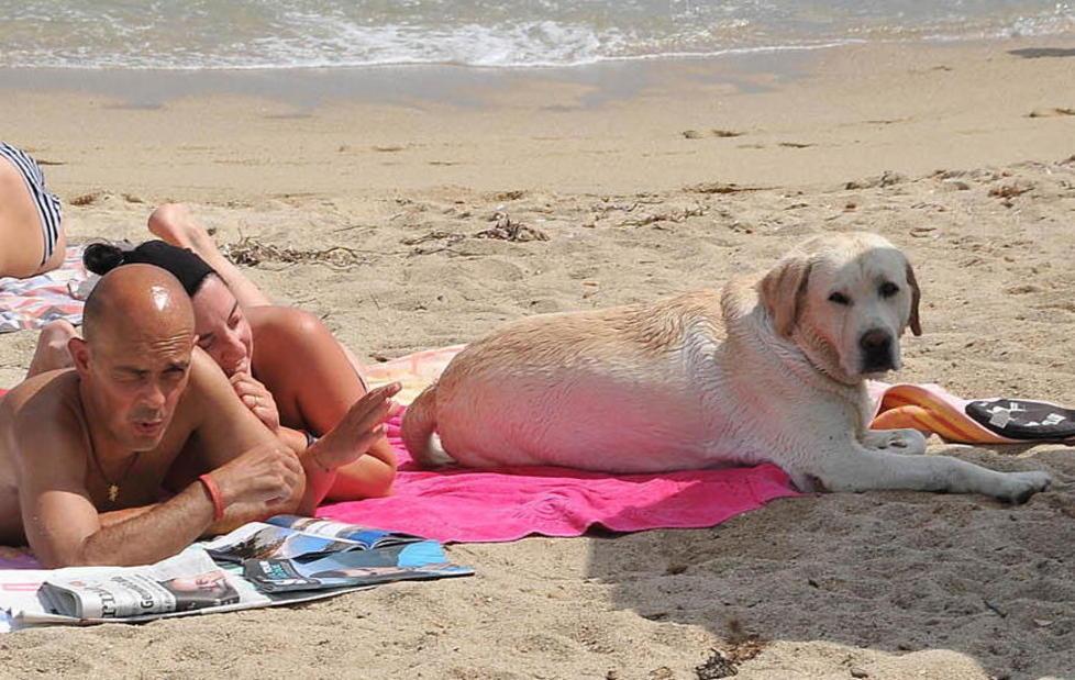 “Elba estate, la tua vacanza in uno scatto” 