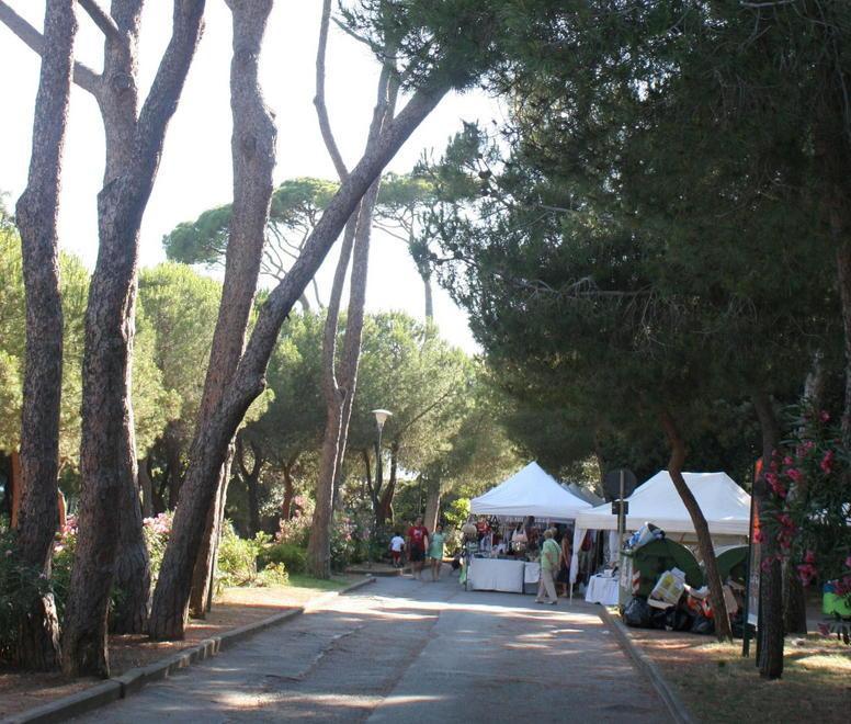 Pineta off limits ai disabili Sale la protesta per la Ztl 