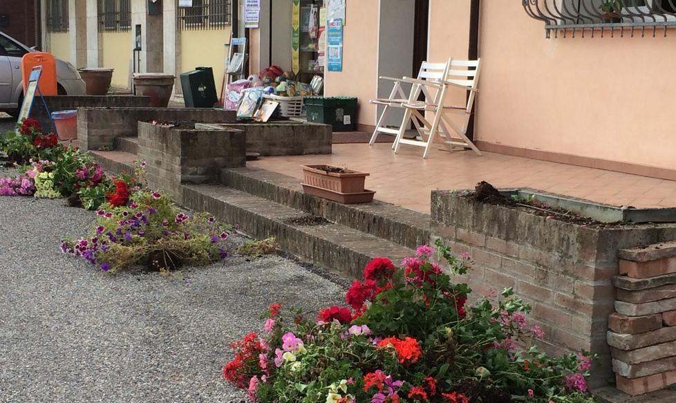 Vandali in paese devastano le fioriere 