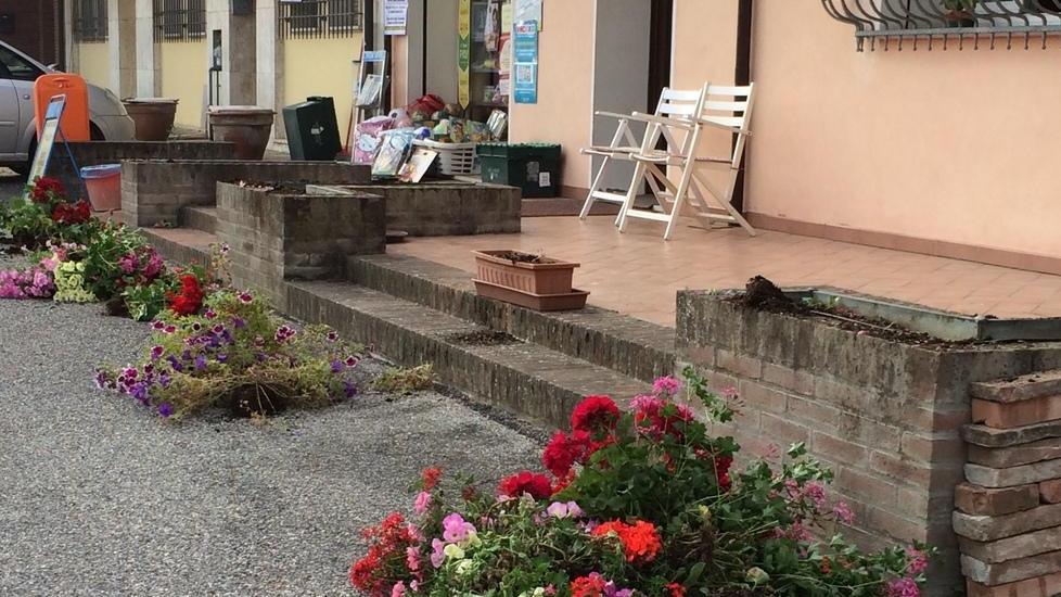 Vandali in paese devastano le fioriere