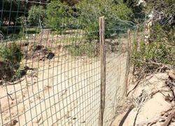 Chiuso l’accesso alle spiagge di Galenzana e Salandri: la denuncia di Legambiente 