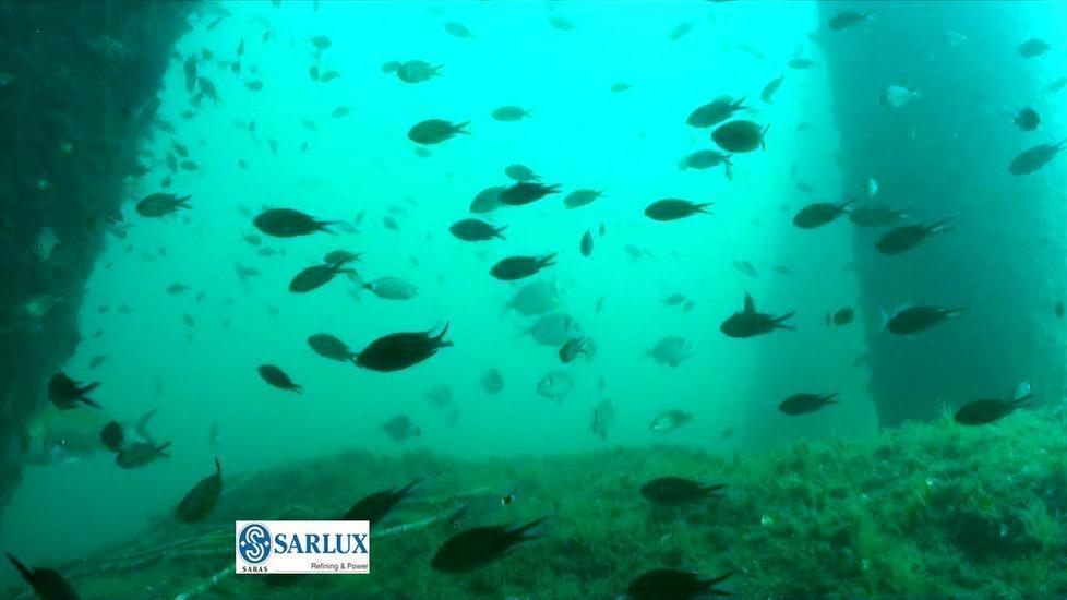 Goletta Verde, appello alla Saras: «Ridurre subito emissioni Co2» 