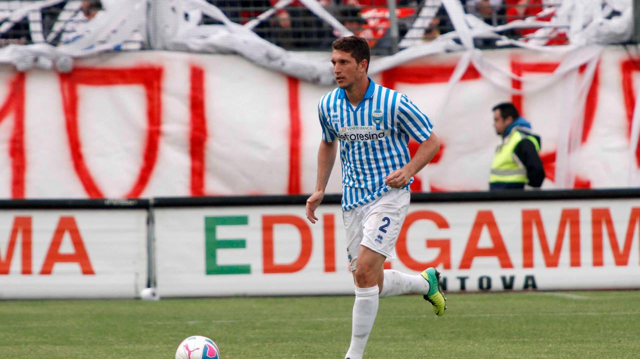 Silvestri