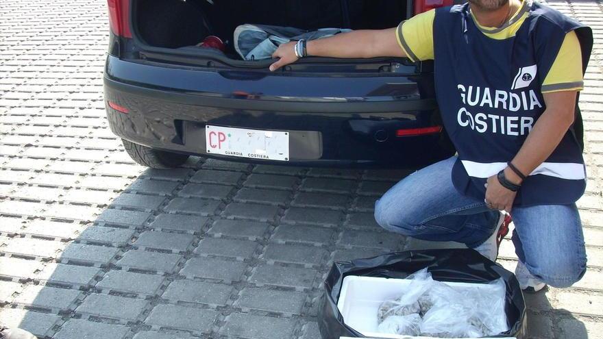 Sequestrati 15 chili di arselle al mercato a un venditore abusivo