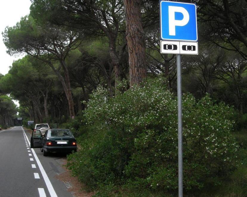 Marina: si torna a parcheggiare nelle pinete, firmata l’ordinanza 
