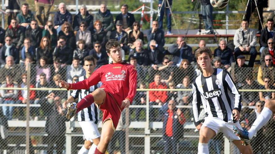 Ecco il centrale Stoppini (19 anni) dal Livorno
