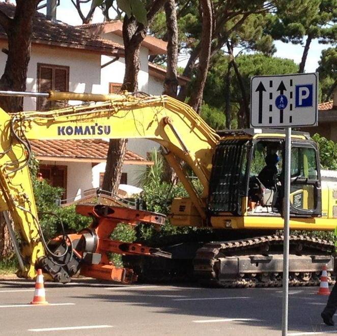 Pini ko, il taglio si conclude oggi 