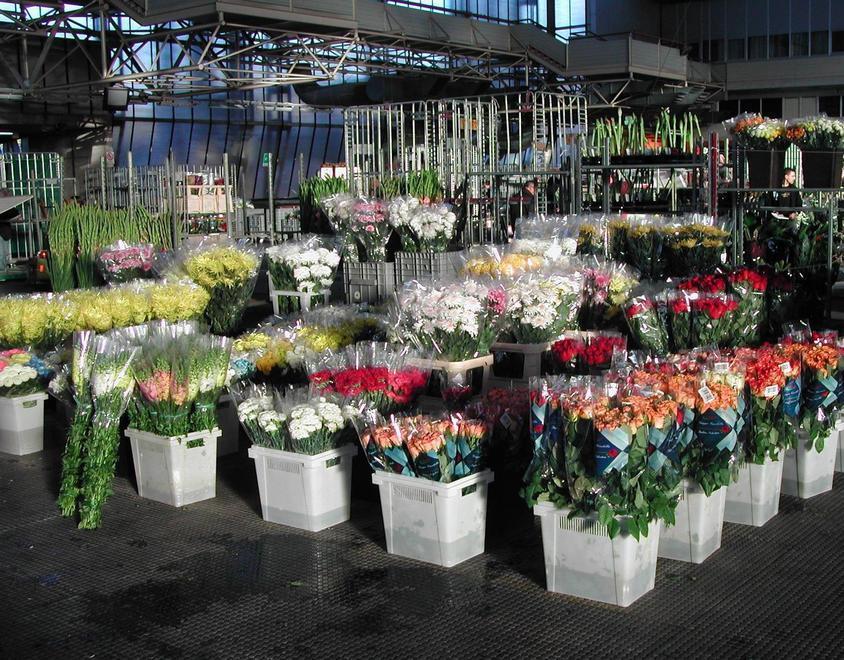 Rimandata la consegna dei fiori di una settimana 