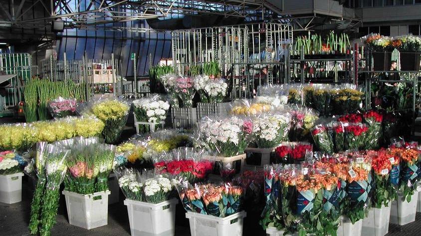 Rimandata la consegna dei fiori di una settimana