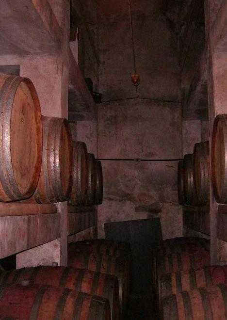 I vini di Mamoiada primi al concorso enologico 