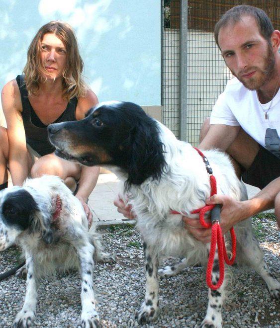 «Questa estate non abbandonate gli animali» 