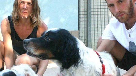 «Questa estate non abbandonate gli animali»