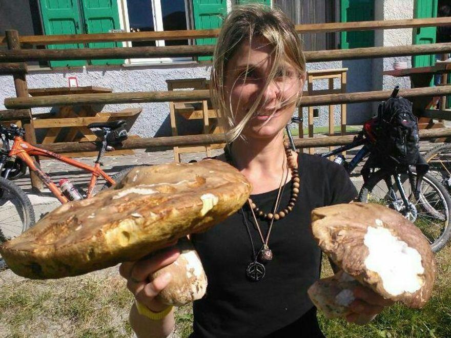Trovato a Febbio un porcino di 3 chili
