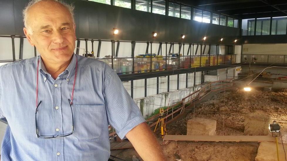 Trovato un dentino di 600mila anni fa