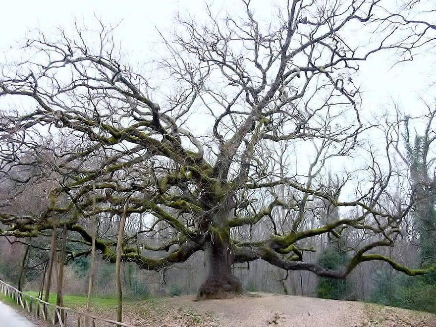 Altre visite alla scoperta delle bellezze del Padule di Fucecchio 