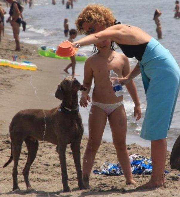 Non ci sono i cartelli che indicano la spiaggia accessibile ai cani