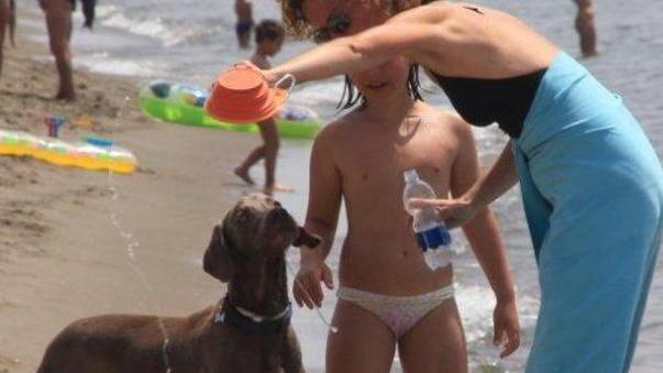 Non ci sono i cartelli che indicano la spiaggia accessibile ai cani