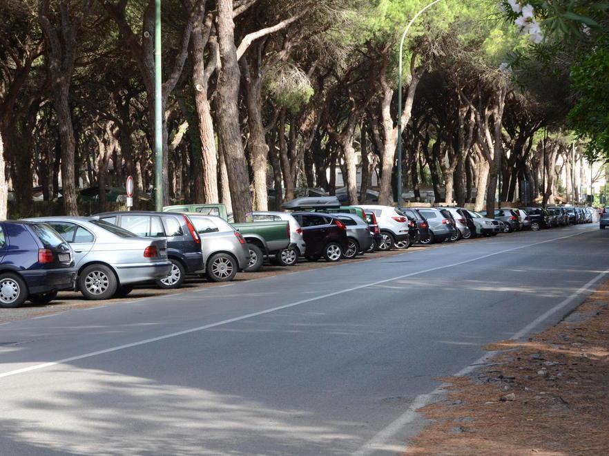 A Marina le auto possono sostare in pineta 