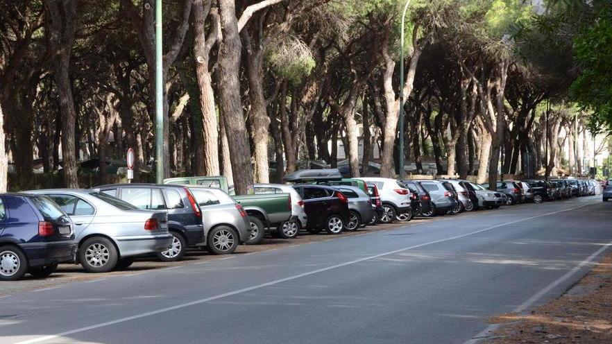 A Marina le auto possono sostare in pineta