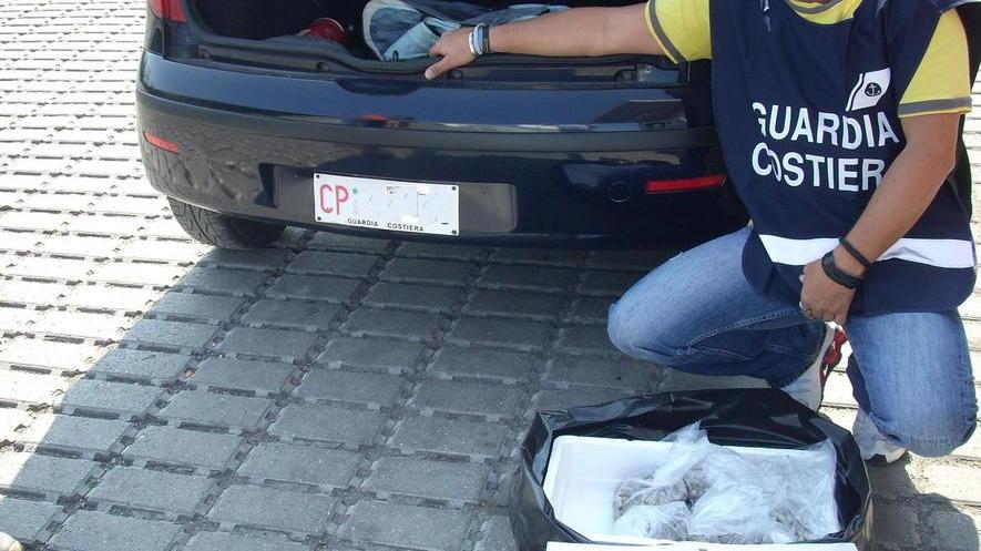 Sequestrati 15 chili di arselle, una denuncia