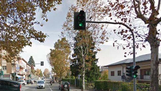 Viale Bagnoli, è polemica per 20 platani da abbattere 