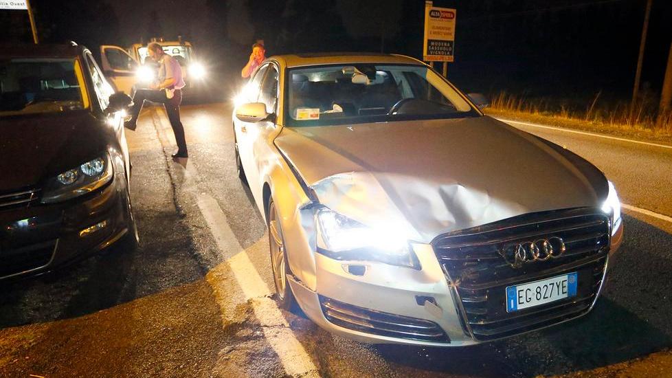 Cervo da un quintale centrato da un’auto in via Emilia Ovest