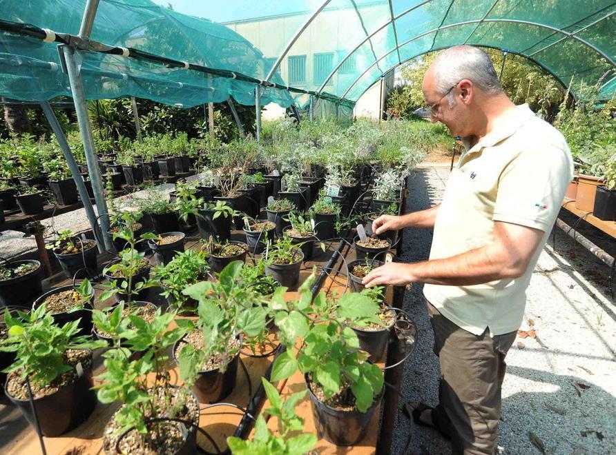 Cespevi, calano le perdite La Fondazione rimane al 20%