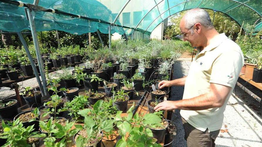 Cespevi, calano le perdite La Fondazione rimane al 20%