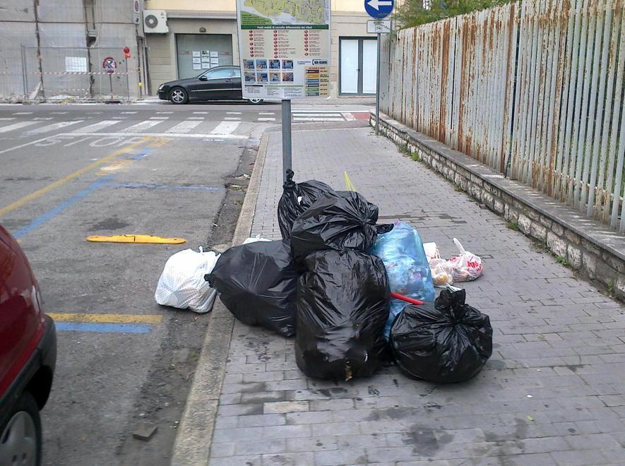 «Rifiuti abbandonati, colpa degli incivili» 