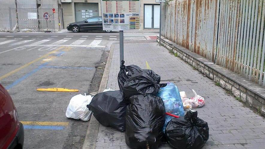 «Rifiuti abbandonati, colpa degli incivili»