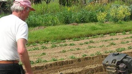 Agricoltori in rivolta per l’ordinanza anti-letame di Buselli
