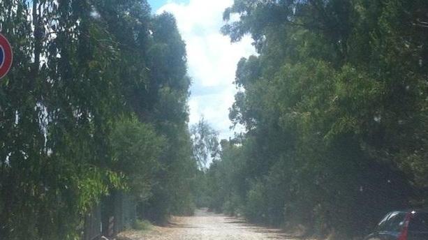 Intanto l’area di sosta dietro la spiaggia è deserta per colpa di un cartello “ingannevole”