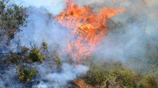 Altri due incendi Caccia al piromane