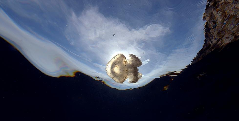 Io, Miho, innamorata di questo blu profondo 