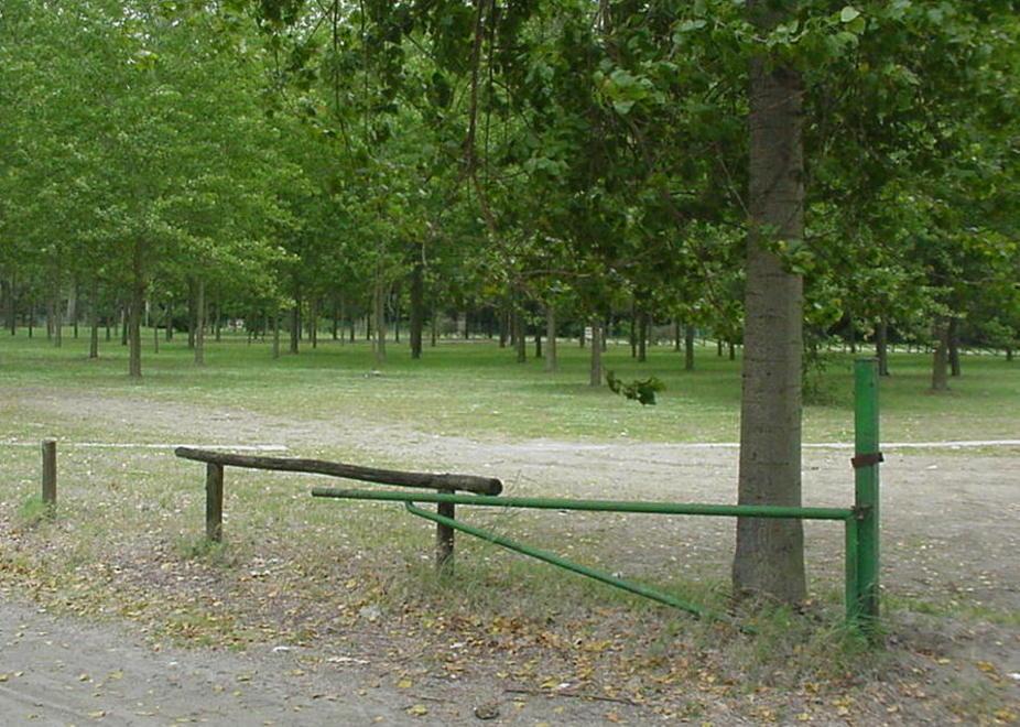 Dopo sedici anni di lotte il sì al campeggio in pineta 